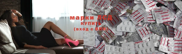 бошки Бородино