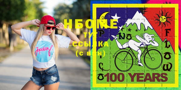 бошки Бородино