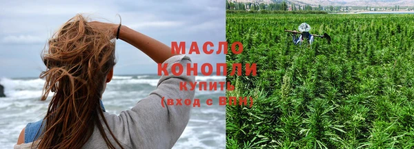 бошки Бородино