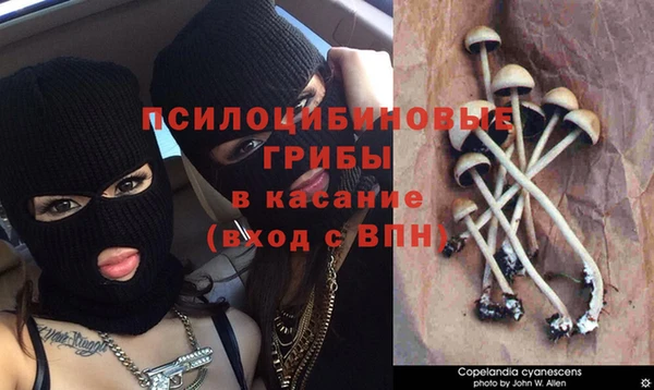бошки Бородино