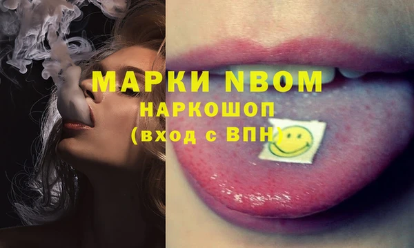 бошки Бородино