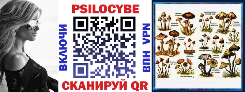 Псилоцибиновые грибы мицелий  продажа наркотиков  Нижневартовск 