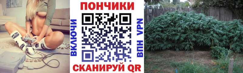 даркнет клад  наркошоп  Нижневартовск  Марихуана семена 